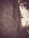 Up the alleyway of Amador Vintage Market on Main Street at dusk. 